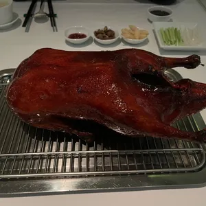 유유안 사진