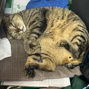 복돈이생고기 리뷰 사진