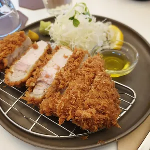 라키 사진