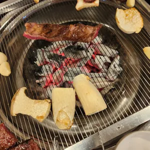 참토우 사진