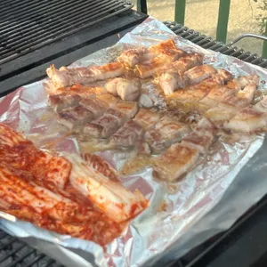 천년소나무 사진
