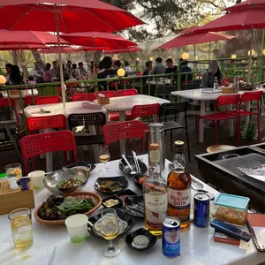 천년소나무 사진