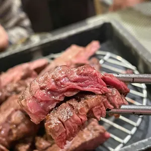 본앤우480 사진