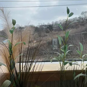 해그린 베이커리카페 리뷰 사진