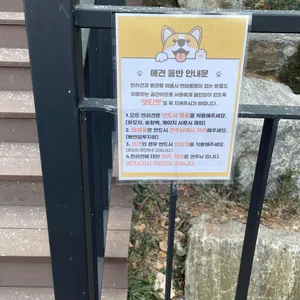 해그린 베이커리카페 리뷰 사진