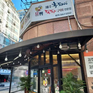 요빠 리뷰 사진