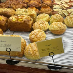 M365 리뷰 사진
