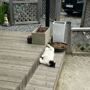 홍계동밥상 리뷰 사진