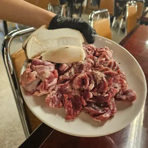 갈매기대도 율하 사진