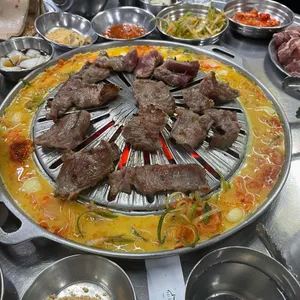 마포 갈매기 사진