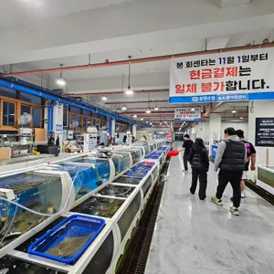 포항수협 송도활어회센터 리뷰 사진