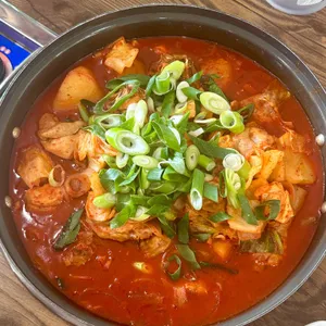 닭터 사진