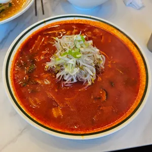 국수나무 사진