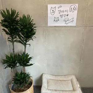 무무무 리뷰 사진