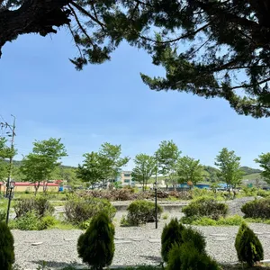 짹짹커피 리뷰 사진