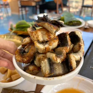 처음본명품민물장어 사진