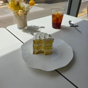 앨리스 프로젝트 사진