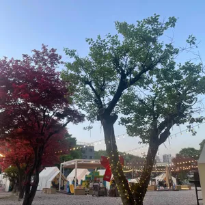 느티포레 리뷰 사진