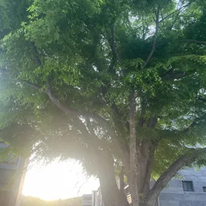 느티포레 리뷰 사진