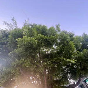 느티포레 리뷰 사진