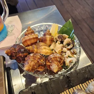 하와이조개 사진