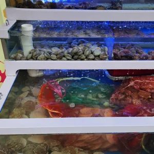 하와이조개 리뷰 사진