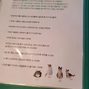 친친악어 리뷰 사진
