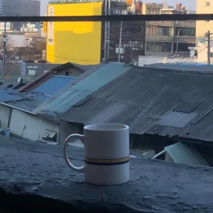 호랑이 사진