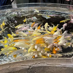 카페 드 아쿠아 사진