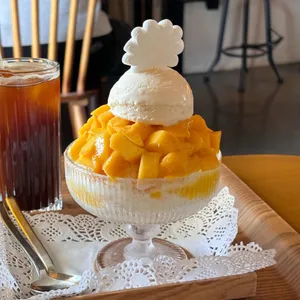 당고집 사진