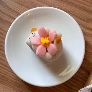 당고집 사진