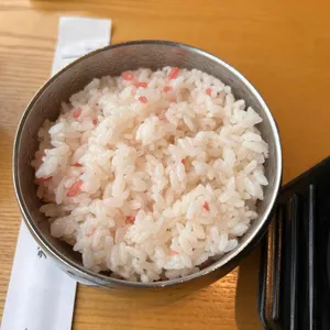 꼬뜨 사진