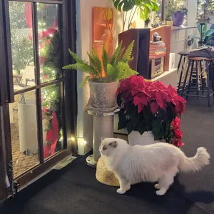 올던 리뷰 사진