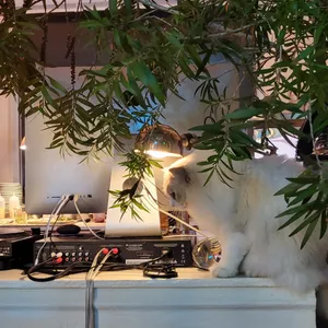 올던 리뷰 사진
