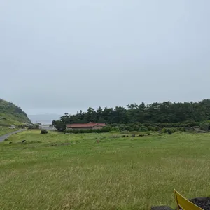 소색채본 리뷰 사진