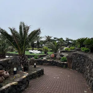 소색채본 리뷰 사진