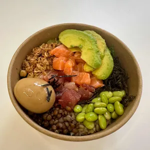 데일리포케 사진