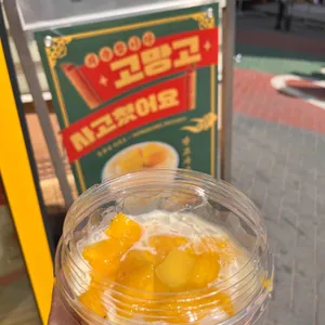 고망고 사진