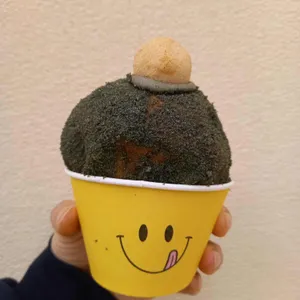 노티드 사진