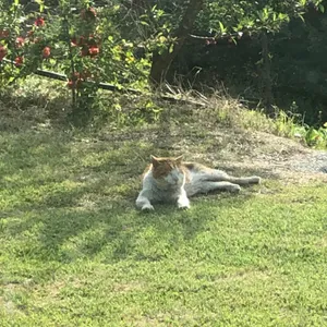 카페 여주 리뷰 사진