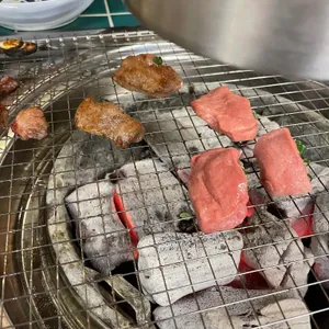 짝귀 사진