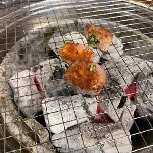 짝귀 사진
