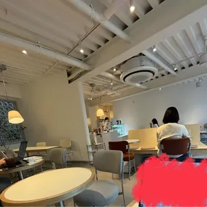 배배커피 리뷰 사진