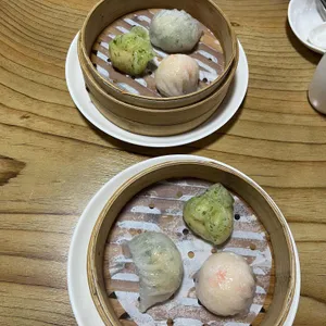 만화쉔 사진