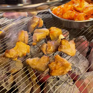 식껍 사진