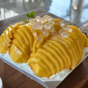 릴리안 사진
