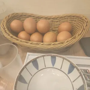 북창동순두부 리뷰 사진