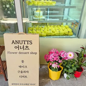 어너츠 사진