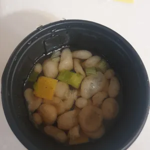 미스터빠삭 사진