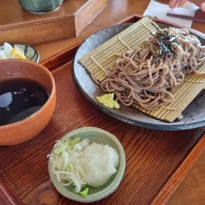 기린아 사진